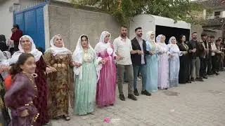 Sercan Maslu Dügünü Part 5 ( Grup Hısen Silopi ) 2025