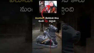 ELURU silanandi kalu nundi raktham vacchindhi