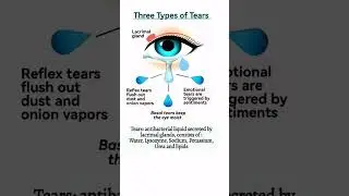 Three Types of Tears: Basal, Reflex, and Emotional