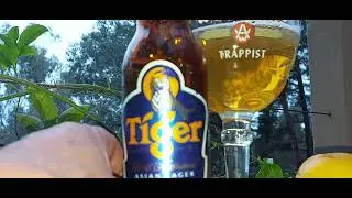 Tiger Asian Lager 5% Made in Singapore under License to Heineken