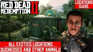 Простой гид по всем местам расположения экзотического оружия | Red Dead Redemption 2 | 182 предмета