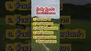 #funny #funnyvideo #motivation #automobile #motivation #viral #viralvideo #news #humor #kpop #viral