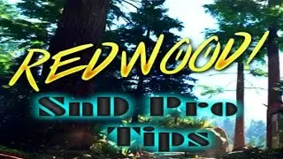 Redwood SnD Pro tips. Call of Duty Black Ops 3