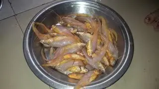 मांदेली मच्छी फ्राय की स्वादिष्ट रेसीपी | कुरकुरित मांदेली फ्राय | mandeli machhi fry