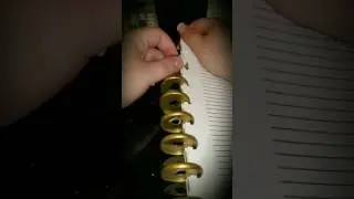 How to switch discs in a Happy Planner
