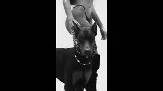 (FREE) Hp Boyz x Shely210 x Spanish Guitar Type Beat 