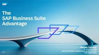 The SAP Business Suite Advantage: A Guide for Enterprise Architects