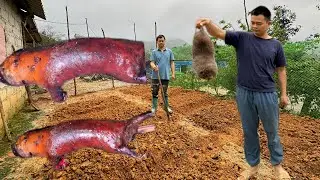 Gardening, grilling boar meat, and cooking rice.ly quyet farm