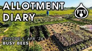 Busy Bees | Fig Tree Farm Allotment | Episode 5, April 2024