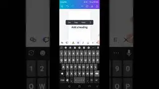 bingo tingo canva pro