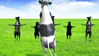 Cock prank funny video | walking dog | Cow prank in pakistan
