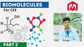 BIOMOLECULES - PART 2 | GLUCOSE | FRUCTOSE | MALTOSE