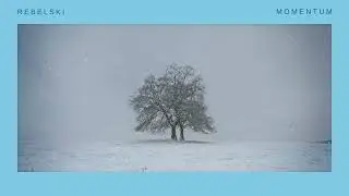 REBELSKI - MOMENTUM