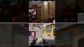 What does this look like white? #gaming #csgo #cs2 #leopardfps #bomman