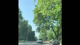 Toronto Summer Drive