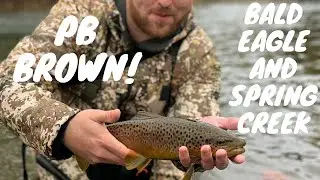PB BROWN TROUT, fishing wild trout streams in central PA. Part 1.