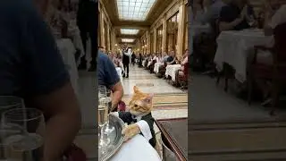 Funny Cat Carrying Champagne Glasses Pyramid in Restaurant - Viral Video