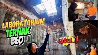 BELAJAR LANGSUNG DI LABORATORIUM TERNAK BURUNG BEO - SUDAH BANYAK HASILNYA - MENOLAK PUNAH !!