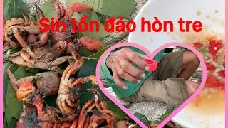 H&agrave;i giải tr&iacute; chia sẻ nghề đi bắt ba kh&iacute;a 