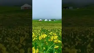 A BEAUTIFUL SPRING SCENE #relaxingmusic #shorts