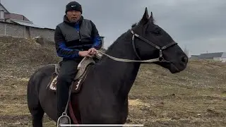 Суркоён сатылат +996-222-04-41-40 29 января 2026 г.