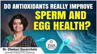 Improve Sperm And Egg Quality Naturally | The Power of Antioxidants for Fertility | Dr C Suvarchala