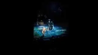 Memory Cats Trieste 2014