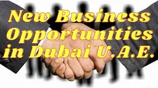 ✔️ BUSINESS OPPORTUNITIES IN DUBAI U.A.E. | PROFESSIONAL SERVICES IN DUBAI l Colorful Vibes