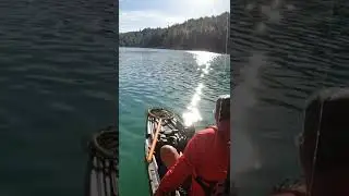 Native watercraft slayer max 12.5&rsquo; on bullards bar reservoir. Kayak bass fishing.