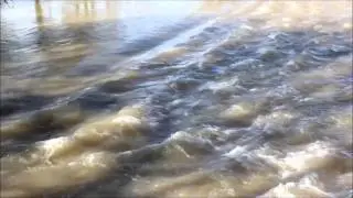 Fremont Weir Closeup
