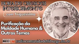 PURIFICAÇÃO DA MALDADE HUMANA E OUTROS TEMAS