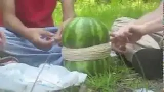 watermelon shredding with rubber!! watermelon drop test :)