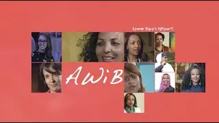 AWiB 10 years of Excellence