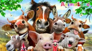 Animal Sounds - Wild Animals - Pets