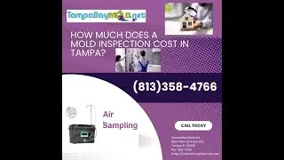 Professional Mold Inspection New Tampa 813-358-4766 TampaBayMold.net