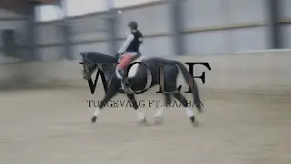ıп тнε cıтч σғ тнε נυпɢʟε