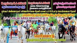 பெரியமாடு 17-09-2022 சித்தளஞ்சாப்பட்டி திருமயம் | Periyamadu Thirumayam | PRD_Reklarace2022