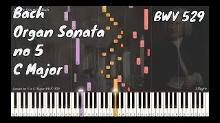 JS Bach - Organ Sonata no 5 in C Major BWV 529 | Synthesia Piano Tutorial | Library of Music