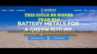 OMG!! Edison Lithium Roger Dahn Brother of Jeff Dahn Tesla senior advisor!