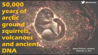 50,000 years of Arctic ground squirrels, volcanoes, and ancient DNA from Yukon Territory