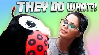 I Didn't Know They Do This! - MushABelly Grumble