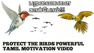 Save Birds Tamil Motivation Video || You Tamil Motivation ||