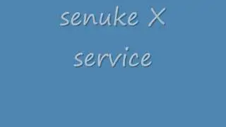 SENuke X, SENuke services