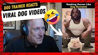 Dog Trainer Reacts to VIRAL Dog Videos *TRY NOT TO LAUGH*