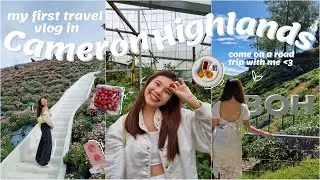 CAMERON HIGHLANDS TRAVEL VLOG 2022 (MALAYSIA) 🌸 | join me on a road trip: floral park, BOH tea farm