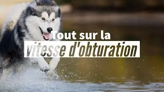 Tout sur la vitesse d'obturation - Les bases de la photographie - Episode 5