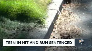 Teen in fatal hit and run sentenced