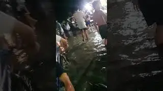 Baha sa duljo ug Alaska mambaling