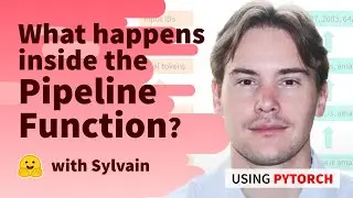 What happens inside the pipeline function? (PyTorch)
