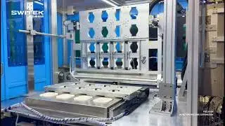 Switek Automation - 8+8 Petri Dish Injection Molding + Automatic Packaging Solution